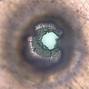 Overhead imagery looking into an impact through-hole on Bay 5 multi-layer insulation (MLI). Left image is focused closest to observer, right image is focused on the exit hole. Credit: NASA ODPO.